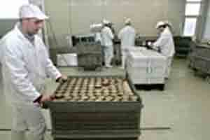 Anwendung in Konservenfabrik